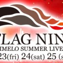 Animelo Summer Live 2013 -FLAG NINE-