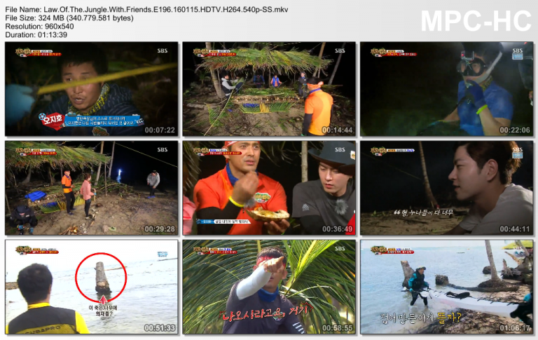 download law of the jungle