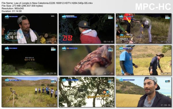 Law.of.Jungle.in.New.Caledonia.E226.160812.HDTV.H264.540p-SS.mkv_thumbs_[2016.08.13_01.10.20]