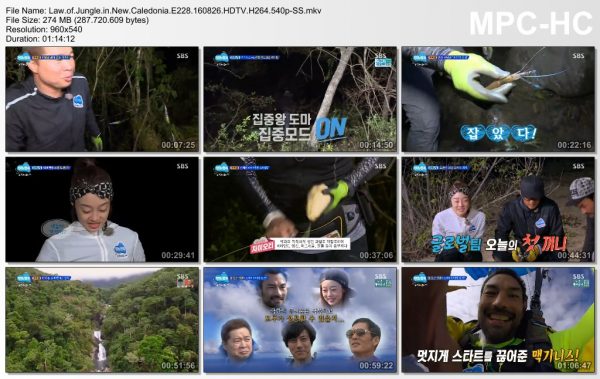Law.of.Jungle.in.New.Caledonia.E228.160826.HDTV.H264.540p-SS.mkv_thumbs_[2016.08.27_00.41.14]