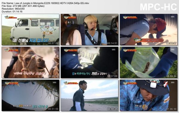 Law.of.Jungle.in.Mongolia.E229.160902.HDTV.H264.540p-SS.mkv_thumbs_[2016.09.03_01.15.33]