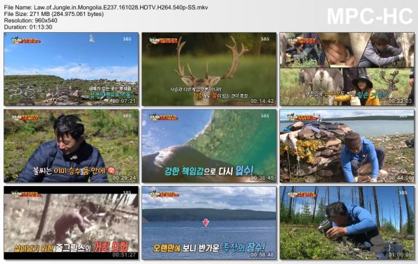 law-of-jungle-in-mongolia-e237-161028-hdtv-h264-540p-ss-mkv_thumbs_2016-10-29_00-04-03