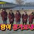 Running Man Episode 334