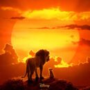 The Lion King (2019) BluRay 480p, 720p & 1080p